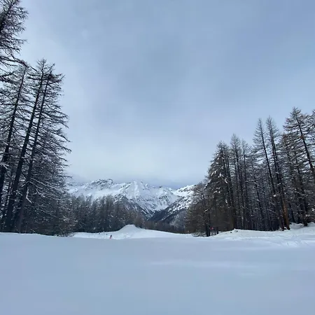 Les Granges D'arvieux - Queyras - 3ch./6p.